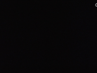 网易补偿我神宠的损失的直播间