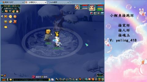 接命魂之玉 人环 宠环