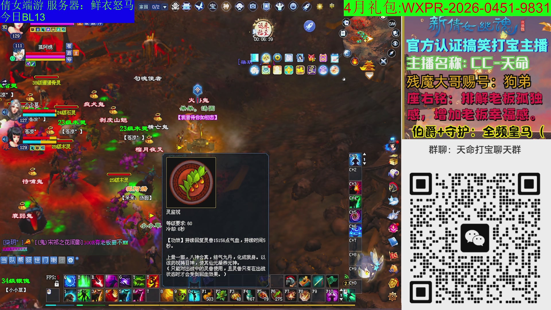 鲜衣24小时剧情