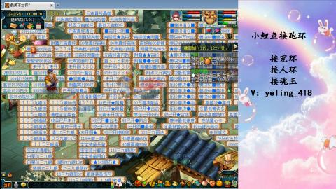 接命魂之玉 人环 宠环