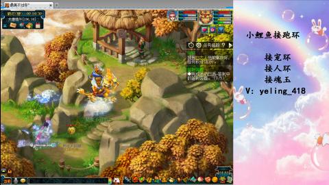 接命魂之玉 人环 宠环