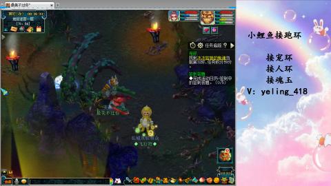 接命魂之玉 人环 宠环