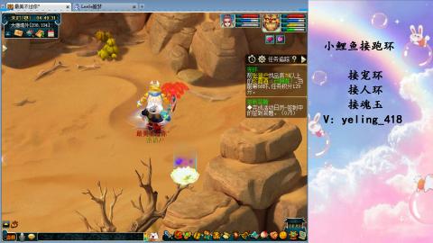 接命魂之玉 人环 宠环