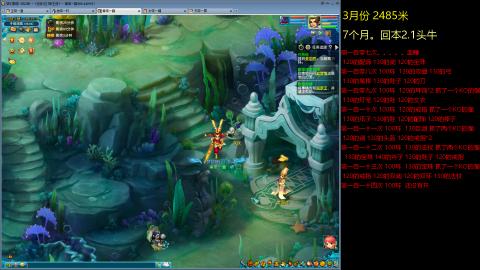 135飞升跑环平民的选择