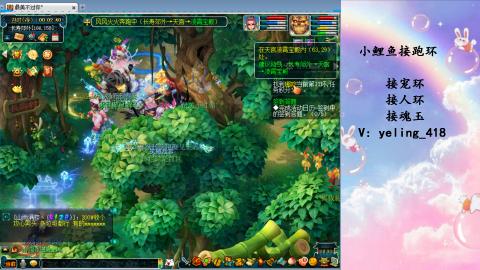 接命魂之玉 人环 宠环