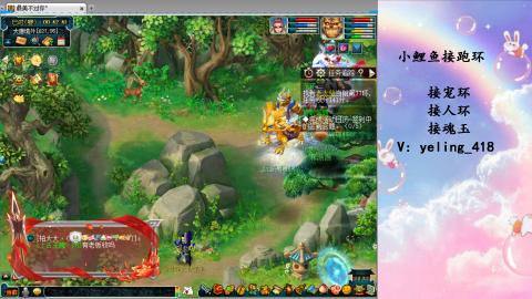 接命魂之玉 人环 宠环