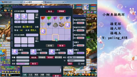 接命魂之玉 人环 宠环