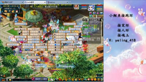 接命魂之玉 人环 宠环