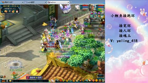 接命魂之玉 人环 宠环