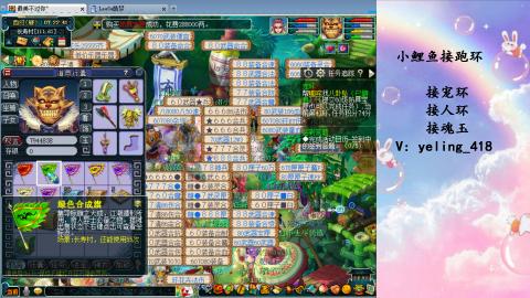 接命魂之玉 人环 宠环