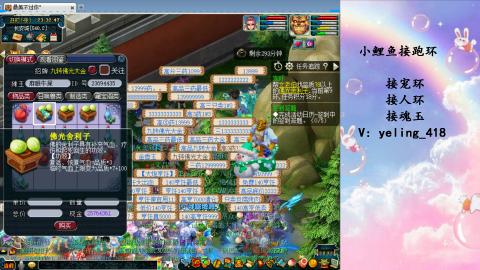 接命魂之玉 人环 宠环