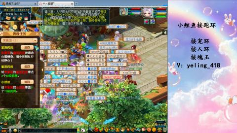 接命魂之玉 人环 宠环