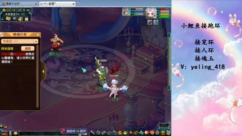 接命魂之玉 人环 宠环