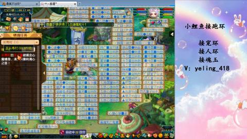 接命魂之玉 人环 宠环