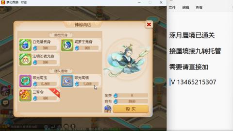 接九转蜃境托管~