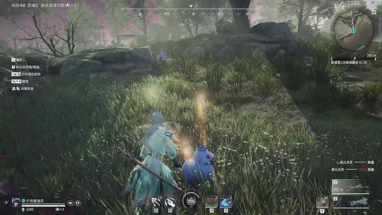 今天也是努力的一天