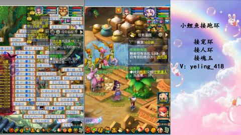 接命魂之玉 人环 宠环