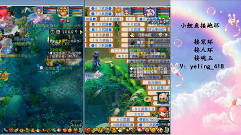 接命魂之玉 人环 宠环