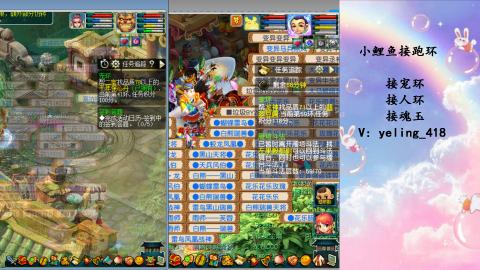 接命魂之玉 人环 宠环