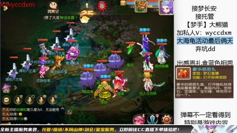 接大海龟活动最后俩天