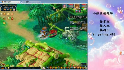 接命魂之玉 人环 宠环