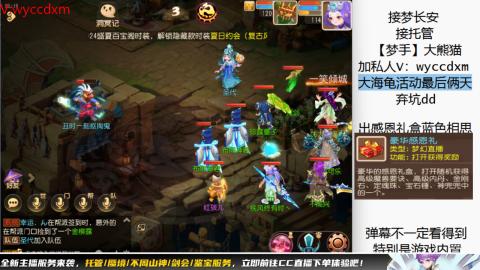 接大海龟活动最后俩天