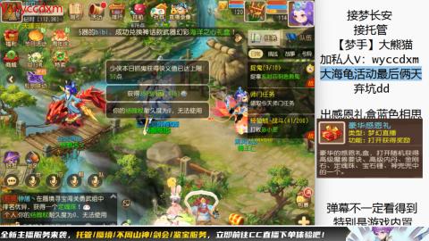 接大海龟活动最后俩天