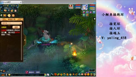 接命魂之玉 人环 宠环