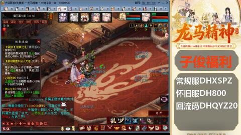 新服<龙马精神>新手码：DHXSPZ