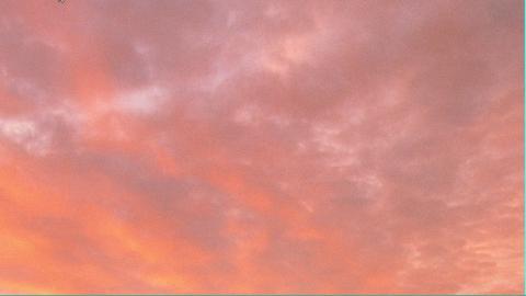 只希望我能带给你们快乐