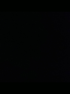 别翻了~就我了~