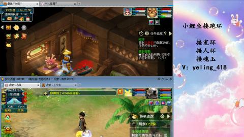 接命魂之玉 人环 宠环