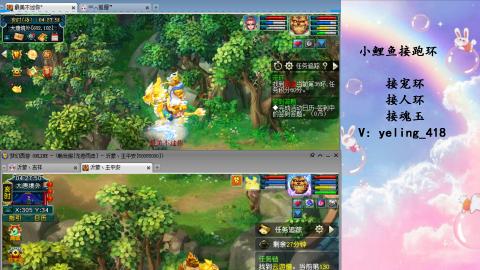 接命魂之玉 人环 宠环