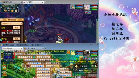 接命魂之玉 人环 宠环