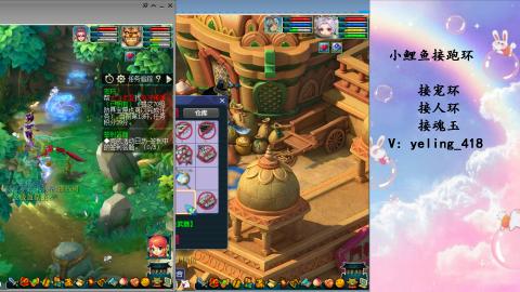 接命魂之玉 人环 宠环