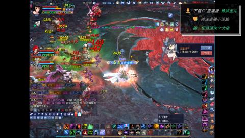 新人主播多多关注