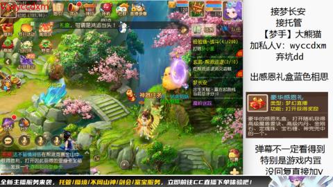 接大海龟活动最后俩天