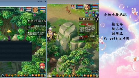 接命魂之玉 人环 宠环