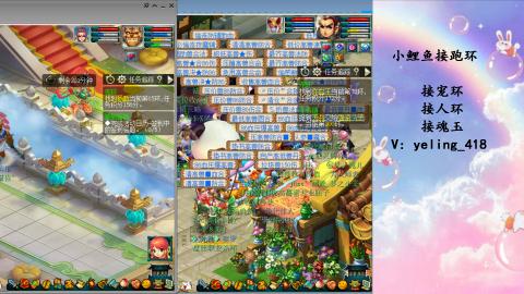 接命魂之玉 人环 宠环