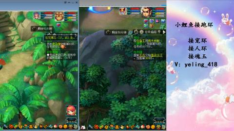 接命魂之玉 人环 宠环