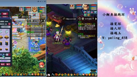 接命魂之玉 人环 宠环