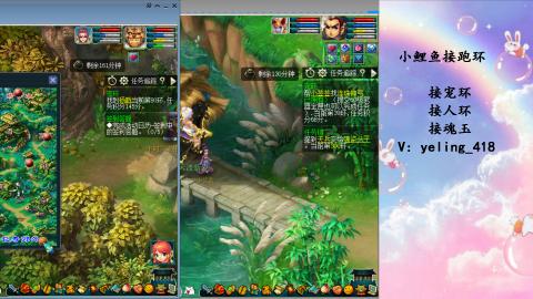 接命魂之玉 人环 宠环