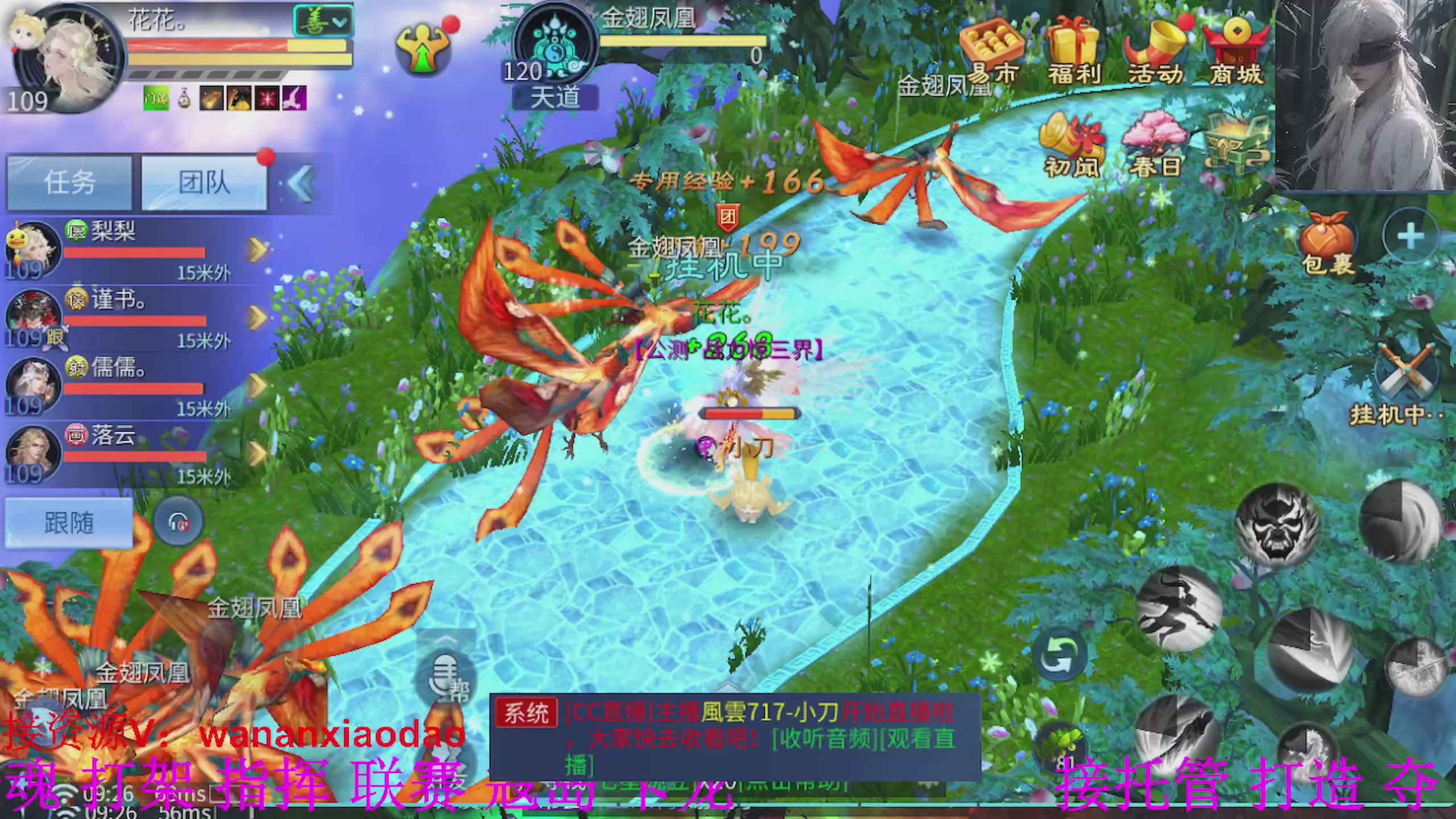 专业新区打造冲榜大翅膀