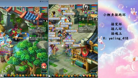 接命魂之玉 人环 宠环