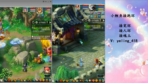 接命魂之玉 人环 宠环