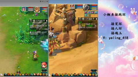 接命魂之玉 人环 宠环