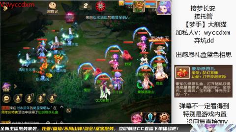 接大海龟活动最后俩天