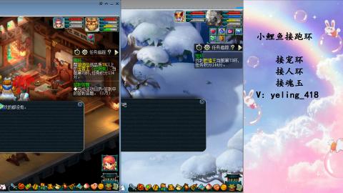 接命魂之玉 人环 宠环