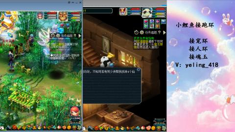 接命魂之玉 人环 宠环