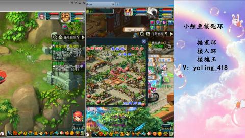 接命魂之玉 人环 宠环